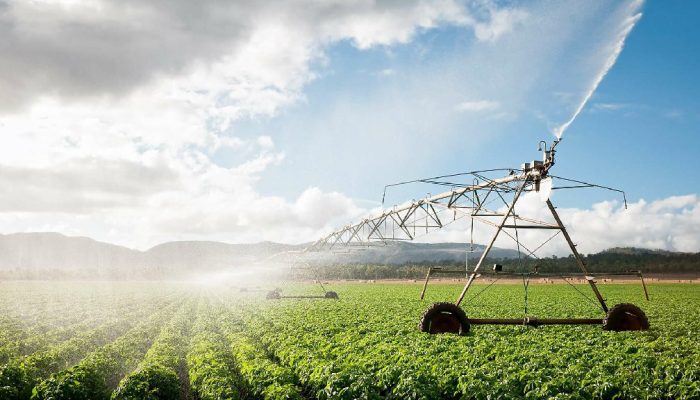1668652581-agriculture 图3~1